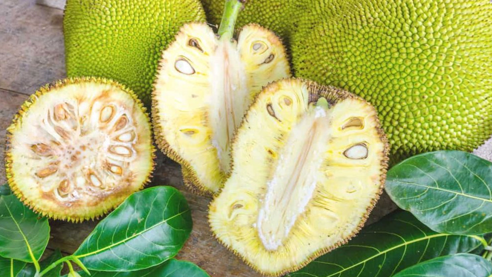 রোগ প্রতিরোধ ক্ষমতা বাড়ায়, কোলন ক্যান্সার রোধ করে, শিশু ও গর্ভবতীর জন্যও উপকারী কাঁচা কাঁঠাল