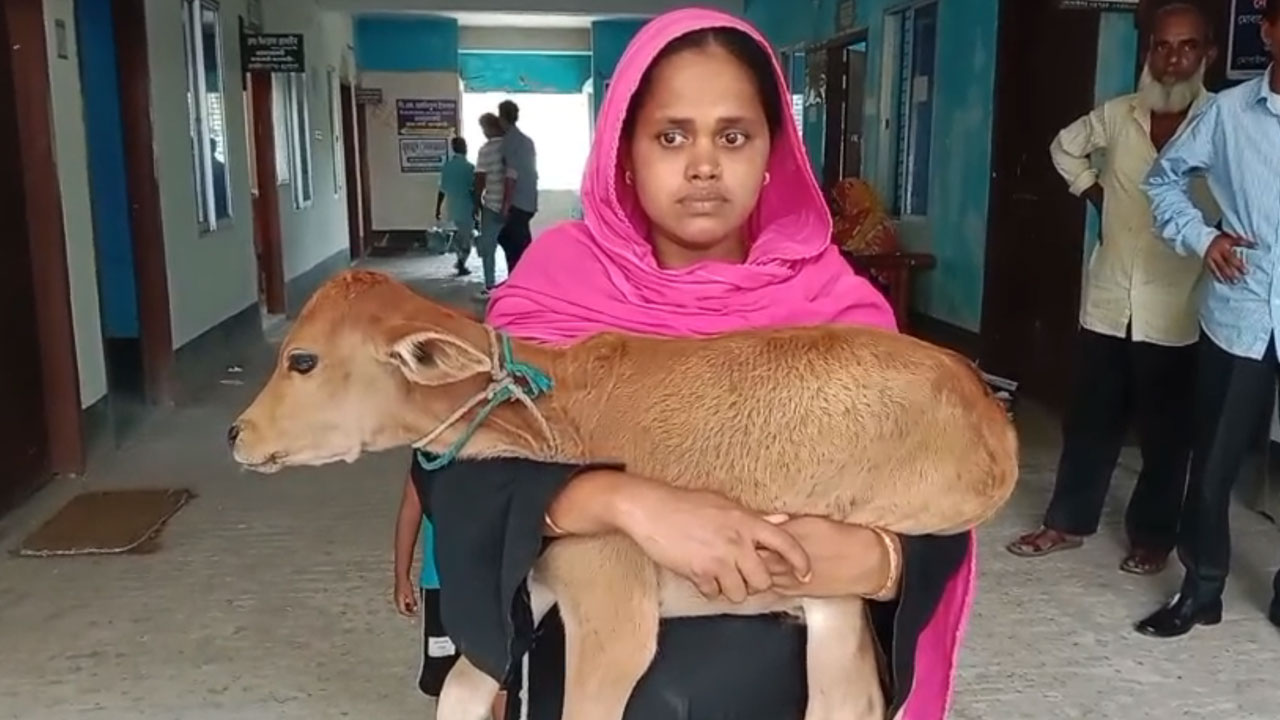 jhalokathi-20250515155330.jpg