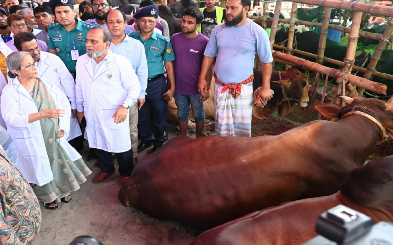 প্রাণিসম্পদ উপদেষ্টা ফরিদা আখতার।