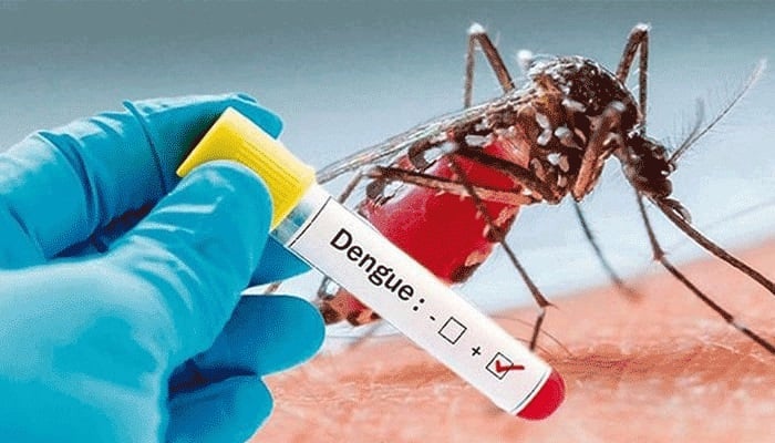 Dengue-1.jpg