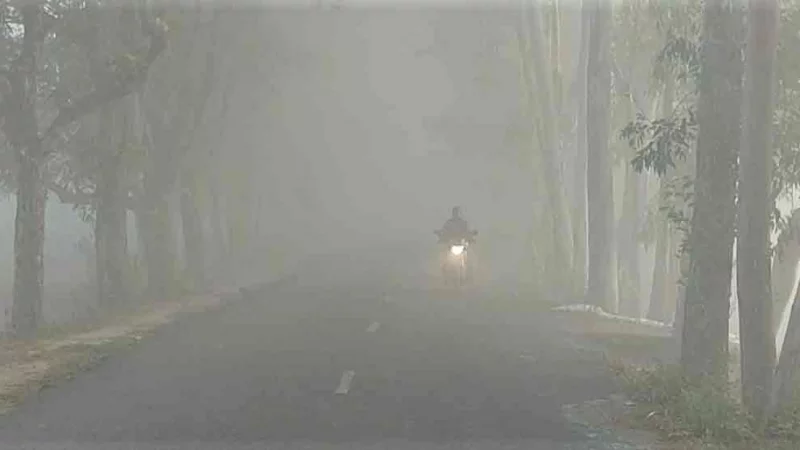 পঞ্চগড়ে শীতের ছোবল